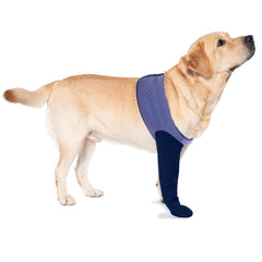 Coodeo dog socks purple paw protectors shield paws indoors during healing.