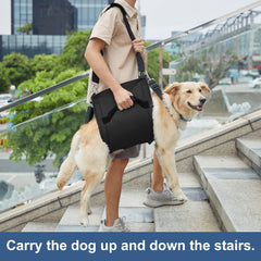 COODEO emergency backpack lift aids quick, safe positioning for injured or aging dogs.
