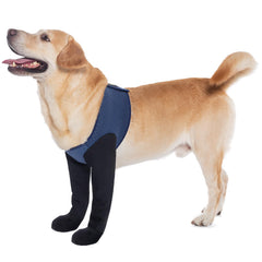 COODEO waterproof sleeve dog shoes protect paws during everyday adventures.