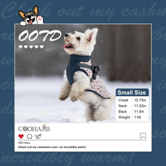 COOHAMS dog winter coat paw-blue back view shows reflective details for safer evening walks.
