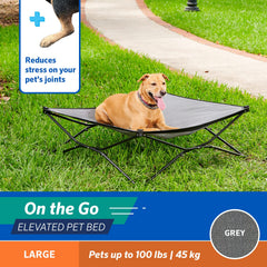 Coolaroo On-The-Go Elevated Dog Bed with carry bag enables easy travel setup.