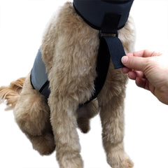CoolerDog FlexiFreeze ice pack illustrating long-lasting cooling sessions.