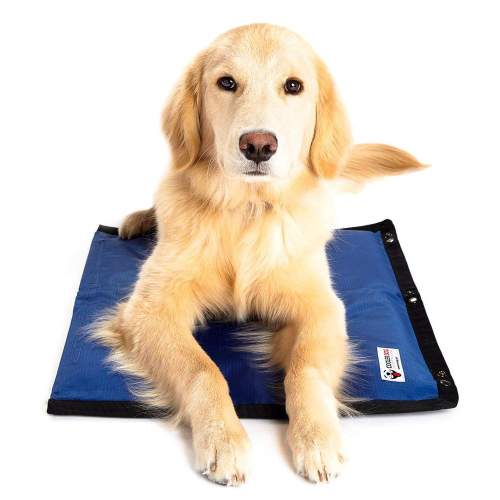 CoolerDog hydro cooling mat cover demonstrates a durable cooling surface for hot days