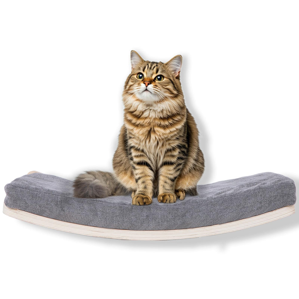 COOLEX curved cat shelf wall bed closeup wood finish enhances living room decor and comfort.
