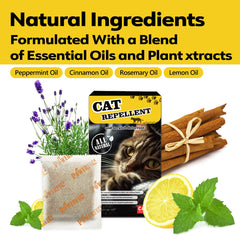 Coomly indoor-outdoor scene with cat deterrent in use near trash bins