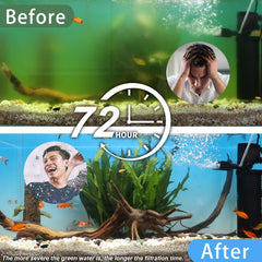 coospider-repta UV disinfection lamp highlights algae control and faster green-water reduction.