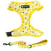 Arnés COOWONE para perro con diseño colorido, ideal para paseos diarios.