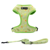 COOWONE dog harness pattern closeup highlights vibrant print for lively daily walks