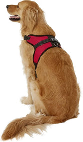 Arnés Copatchy anti tirones con mango para paseos seguros.