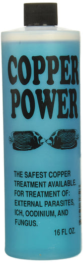 Copper Power Endich ACP0016B blue treatment bottle closeup for marine fish care
