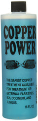 Copper Power Endich ACP0016B blue treatment bottle closeup for marine fish care