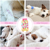 Coppthinktu recovery suit dog back-closure buttons enable easy on-off for caregivers