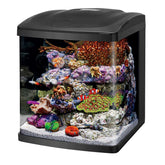 Coralife BioCube front view hood shows a sleek, space saving all in one design