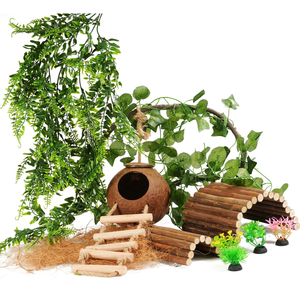 COSOC coconut hut in gecko tank provides secure hideaway and rustic charm