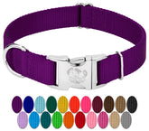 Country Brook Petz collar purple front view shows durable nylon strap for daily walks