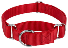 Country Brook Petz martingale no-buckle collar demonstrates easy head-passing and gentle walk control.