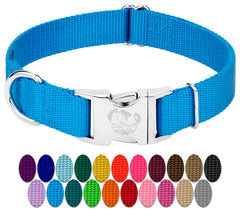 Country Brook Petz Ice Blue collar, front view for daily walks.