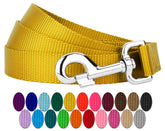 Country Brook Petz everyday nylon leash closeup shows strong hardware for daily walks