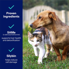 Covetrus Same Pro Liver Support dog nose with bottle blue backdrop signaling daily use