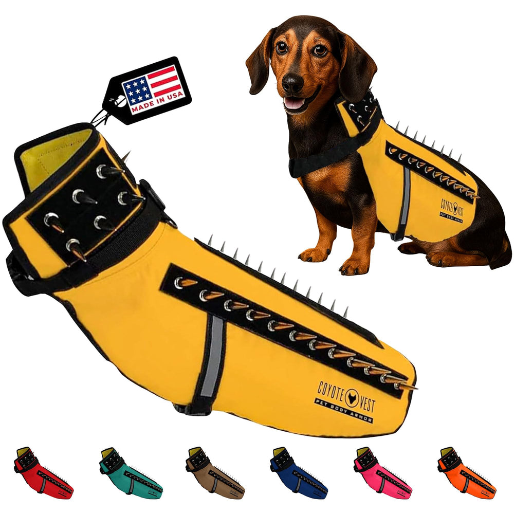 CoyoteVest dog harness front view in yellow showing secure fit for outdoor walks.
