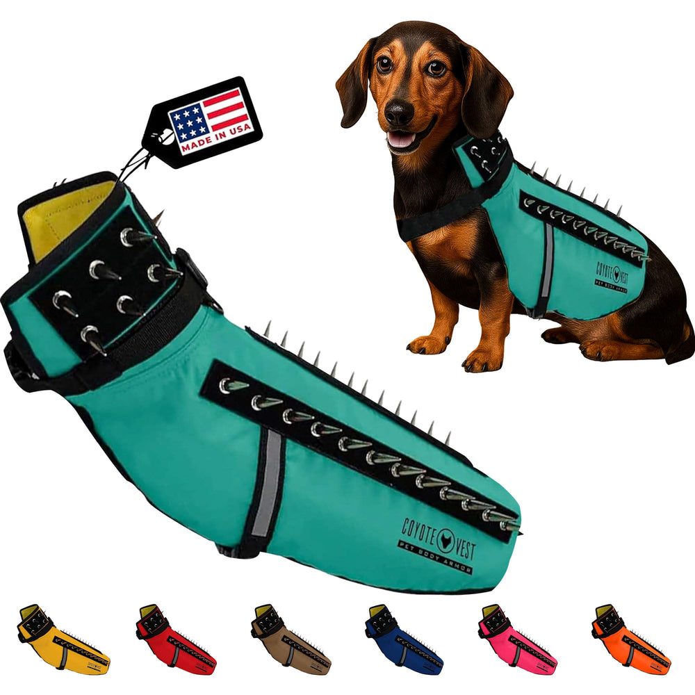 CoyoteVest dog harness front view with turquoise shield and safety features.