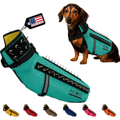 CoyoteVest dog harness front view with turquoise shield and safety features.