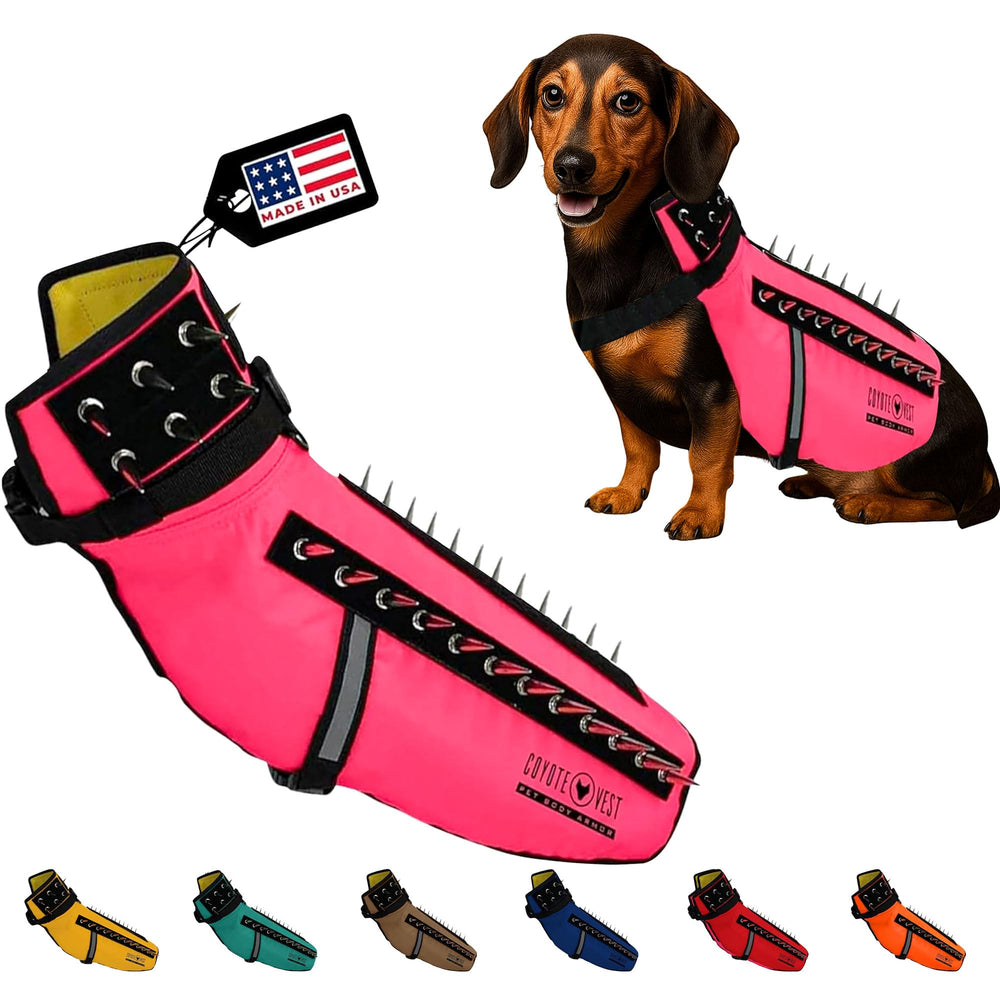 CoyoteVest dog harness pink front view shows comfortable fit and reflective visibility.