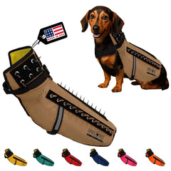CoyoteVest dog harness protection on a small dog for safer walks against wildlife.