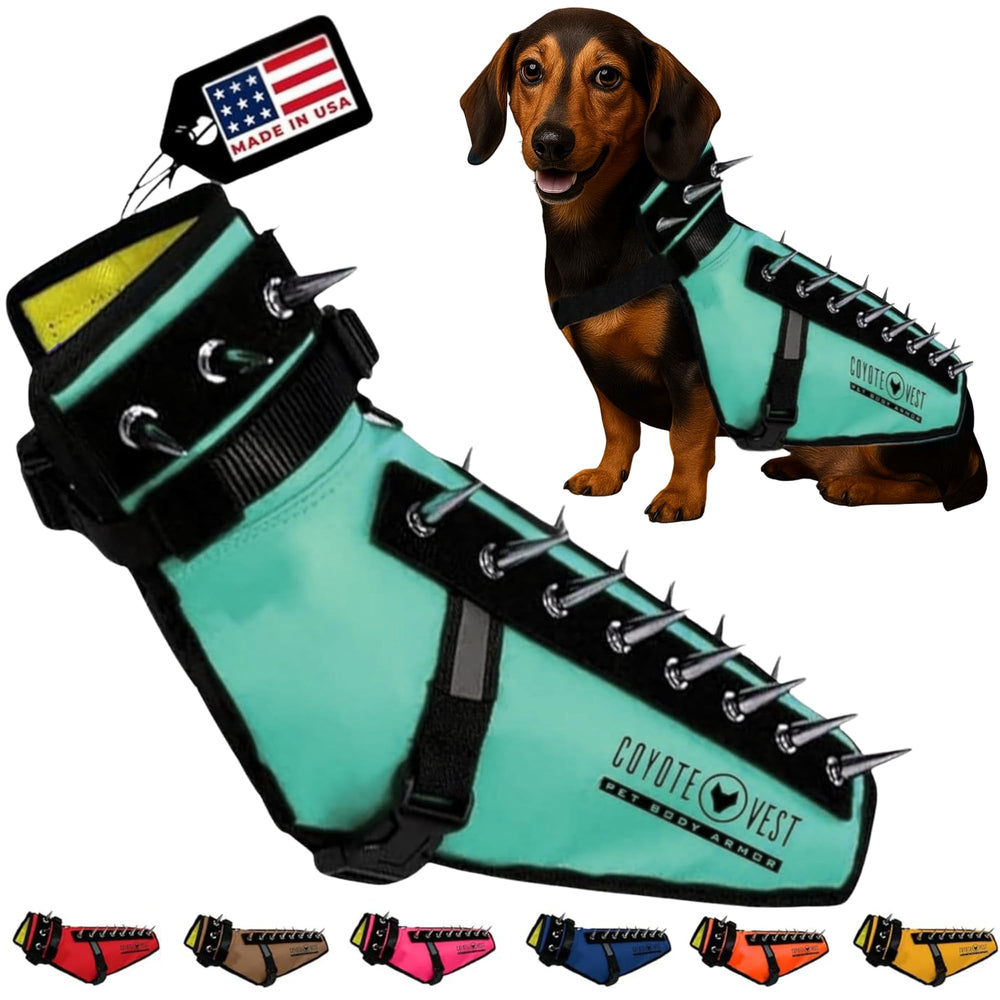 CoyoteVest dog harness turquoise front view for safe outdoor walking.