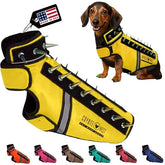 CoyoteVest SpikeVest on a small yellow dog shows protective fit and visibility during outdoor walks.