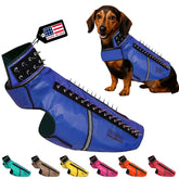 CoyoteVest SpikeVest dog-vest back spikes: visible deterrent for coyote encounters.
