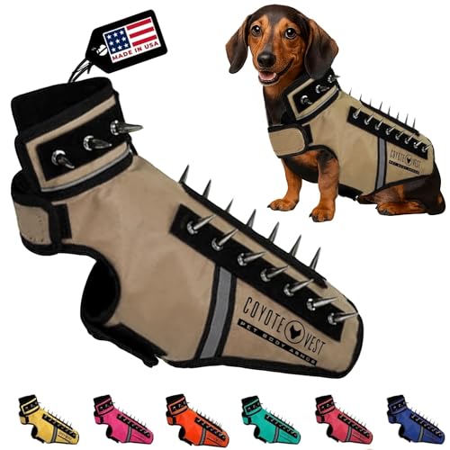 CoyoteVest SpikeVest front view for Texas Tan small dogs, secure fit for outdoor outings.
