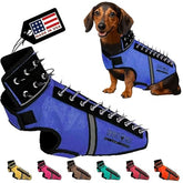 CoyoteVest SpikeVest small-dog-vest shows protective design for tiny breeds during daily walks.