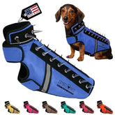CoyoteVest SpikeVest XS Royal Blue front view shows compact protection for small dogs