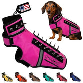 CoyoteVest SpikeVest XXS Pink demonstrates compact, secure fit for small dogs.