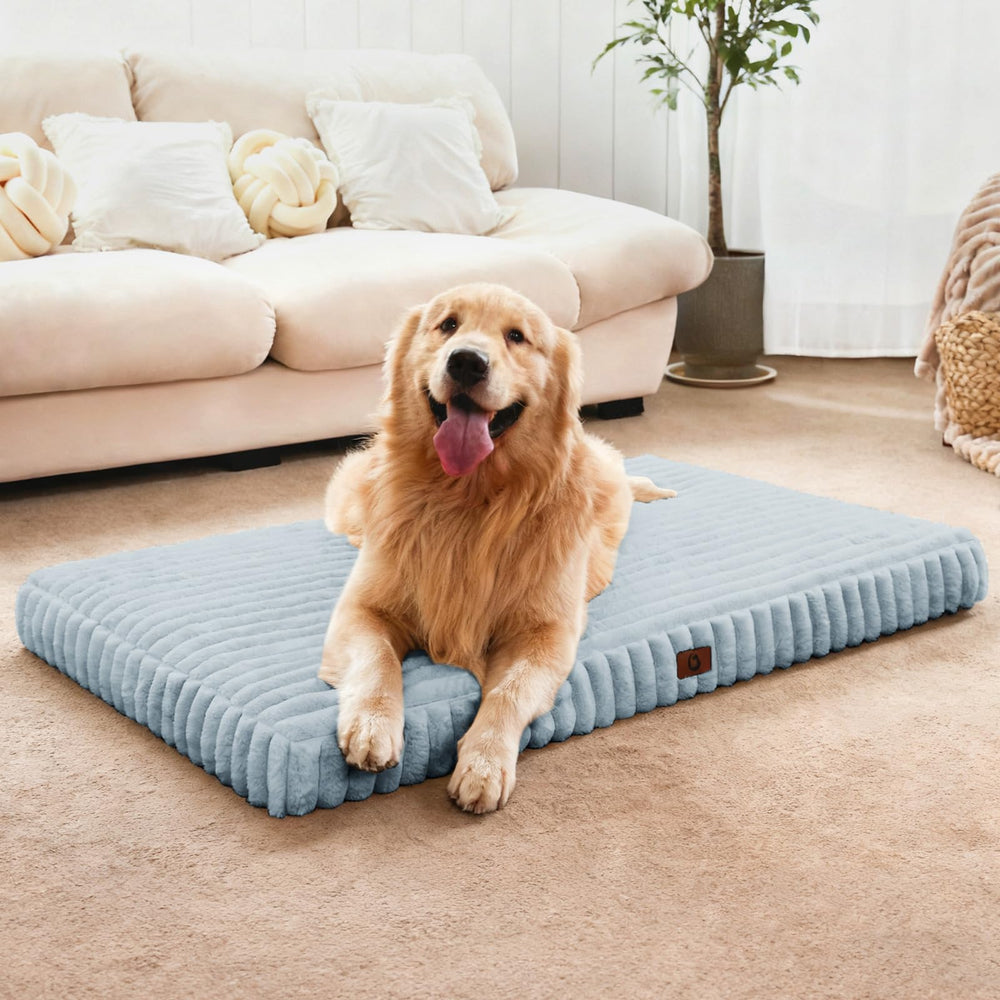 Cozila Orthopedic Dog Bed with soft-plush surface for cozy lounging and joint comfort.