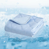 Cozy Bliss leakproof cooling blanket setup demonstrates portable pet cooling on the go.