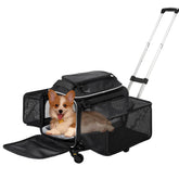 Cozy Cruiser airline-approved pet carrier front view emphasizes compact under-seat fit for easier flights.
