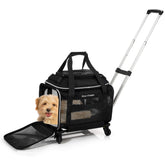 Cozy Cruiser airline-approved top-expansion carrier with wheels for comfortable travel.