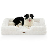 COZY KISS XXL orthopedic bed front view shows ample space for large dogs.