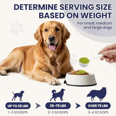 CPFK dog dental cleaning powder probiotics ingredients highlighted for gut support