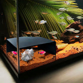 CPLIKE Aquarium Corner Cave hides axolotls with safe privacy and clear viewing window