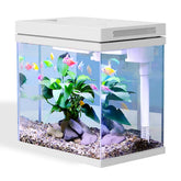Craftsboys 4gal fish tank side view highlights compact, space-saving design.