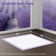 Croci pads adhesive tabs secure placement on floors for stability