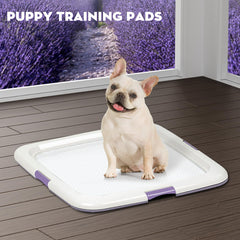 Croci puppy pads absorption-core demonstrates rapid liquid draw and gel-like containment.