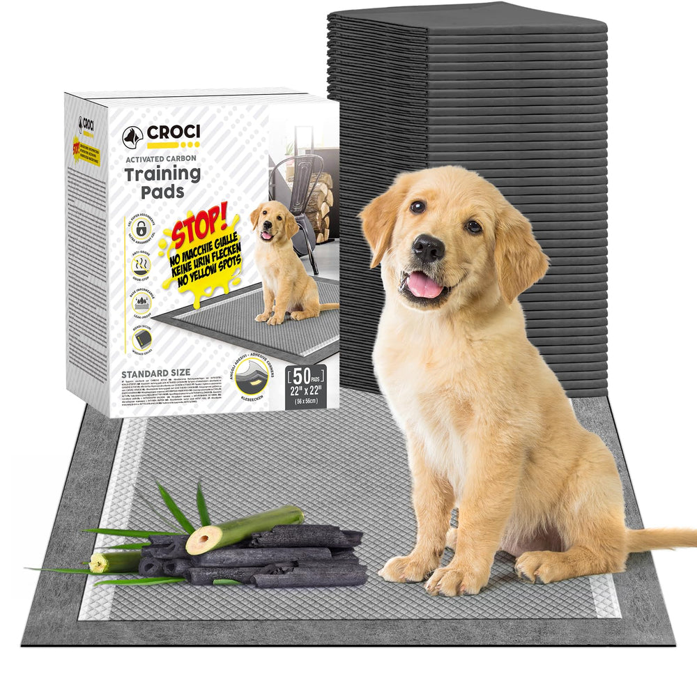 Croci Charcoal 22x22 Puppy Pee Pads front view for potty training