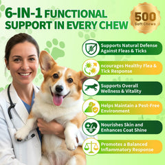 Cudory B-complex vitamins dog supplement bottle shows balanced vitality.