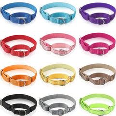 Cunno martingale collar with soft neoprene lining for comfortable daily wear.