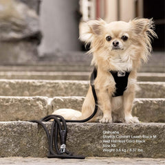Curli Stretch Comfort Leash Lime M features built-in poop bag dispenser for convenience.