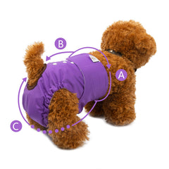CuteBone soft inner lining keeps dog comfortable and dry